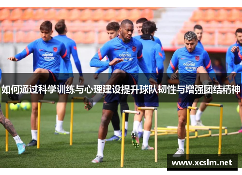 如何通过科学训练与心理建设提升球队韧性与增强团结精神