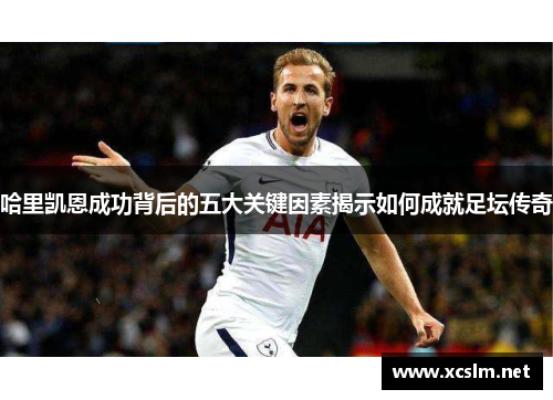 哈里凯恩成功背后的五大关键因素揭示如何成就足坛传奇 哈里凯恩成功背后的五大关键因素揭示如何成就足坛传奇