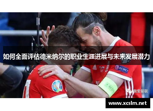 如何全面评估德米纳尔的职业生涯进展与未来发展潜力